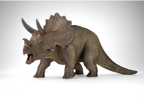 Dino